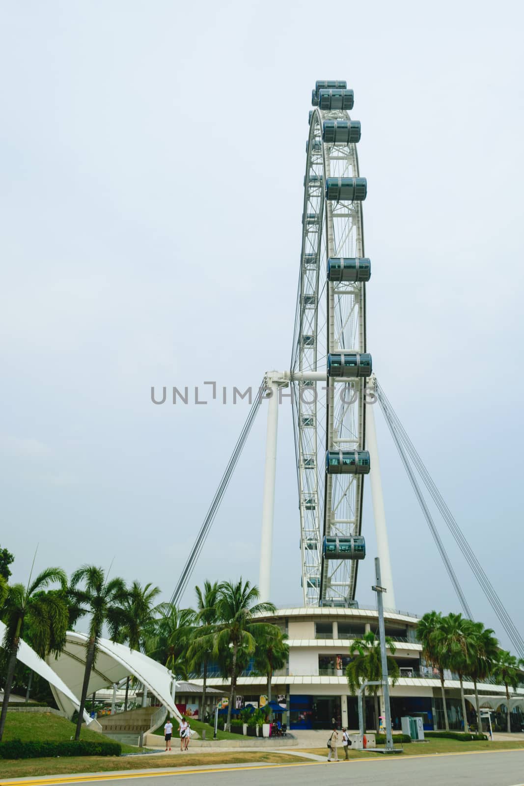 Singapore flyer The world's tallest Ferris wheel you can see the view of Singapore 360deegree.