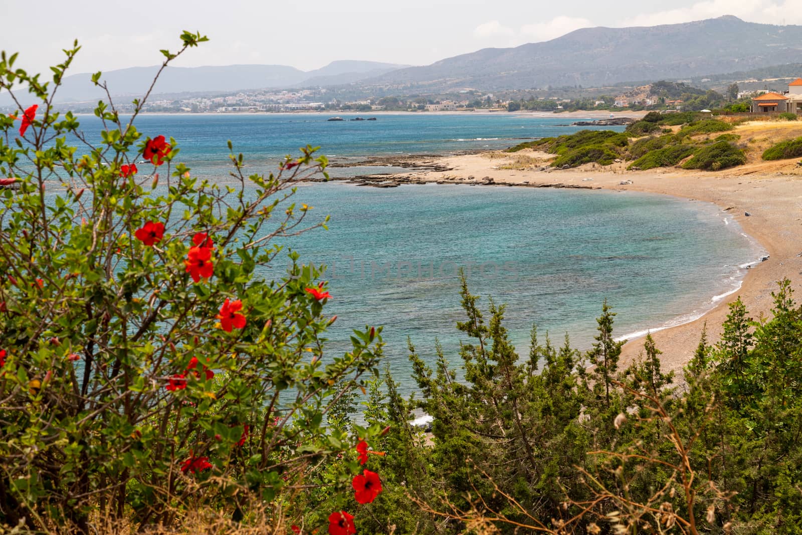 Scenic view at the coastline of Kiotari on Rhodes island, Greece with gravel beach and red flowers in the foreground