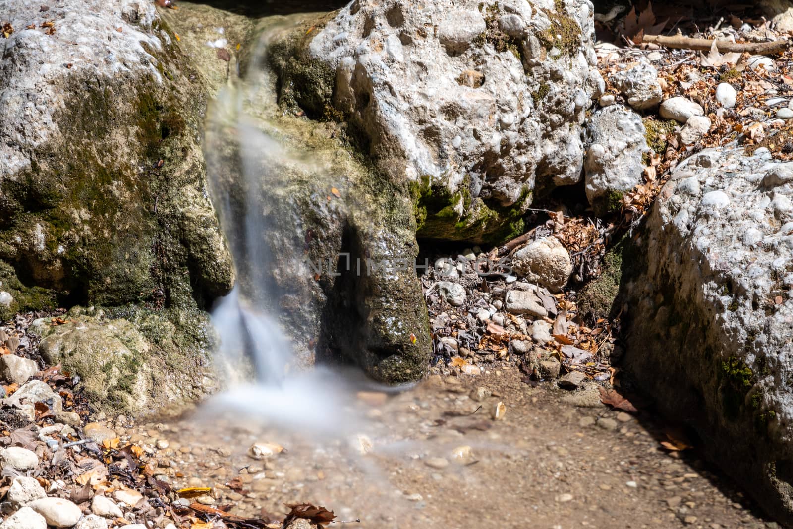 Creek in the valley of butterflies (Petaloudes) on Rhodes island by reinerc