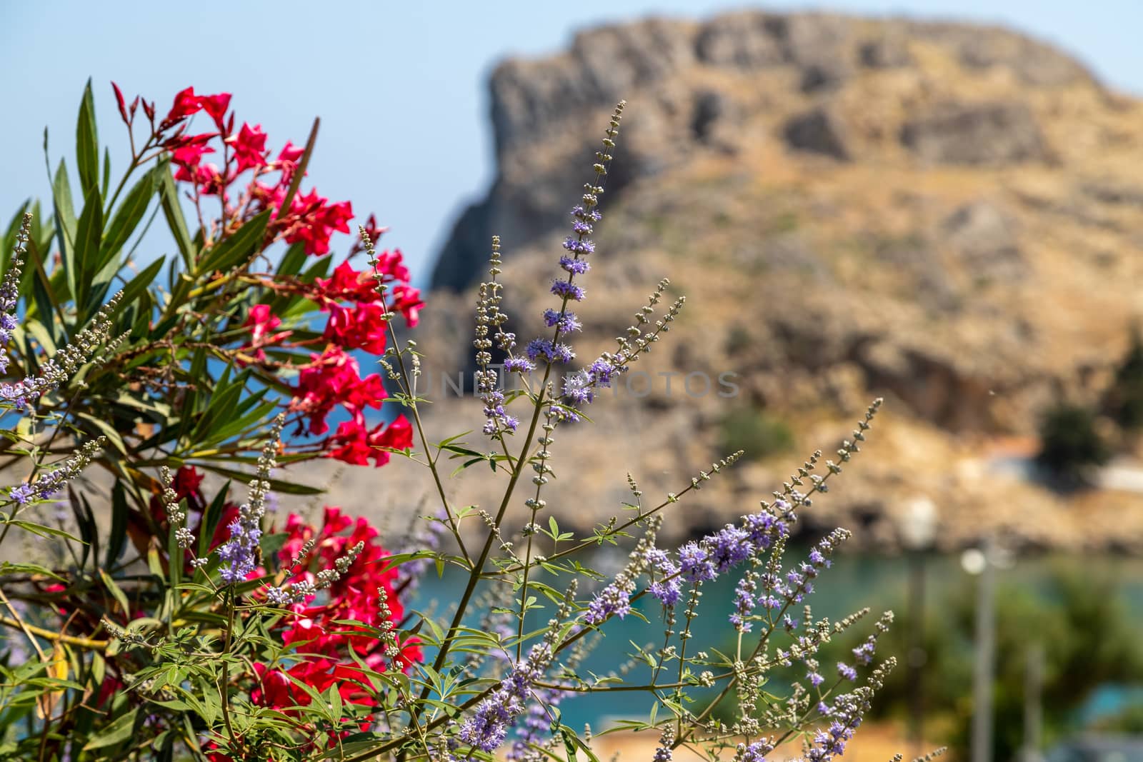 Scenic view at Saint Pauls bay in Lindos on Rhodes island, Greec by reinerc