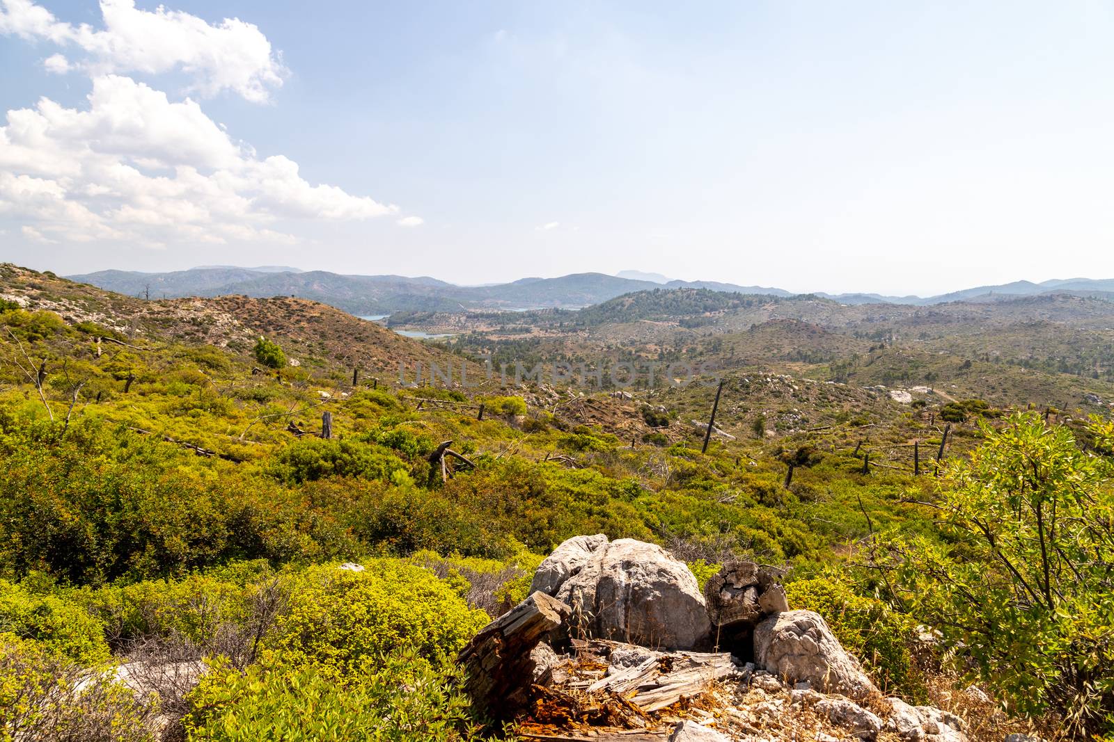 Landscape near Laerma on Greek island Rhodes 10 years after a forest fire with remains of burnt trees