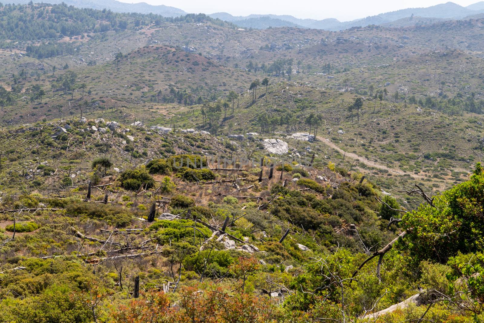 Landscape near Laerma on Greek island Rhodes 10 years after a fo by reinerc