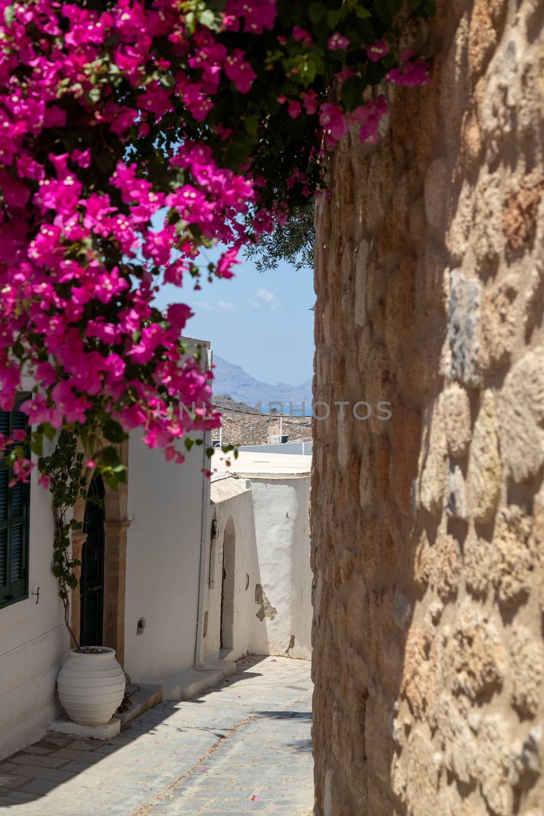 Narrow lane with purple flowers and white houses in Lindos on Gr by reinerc