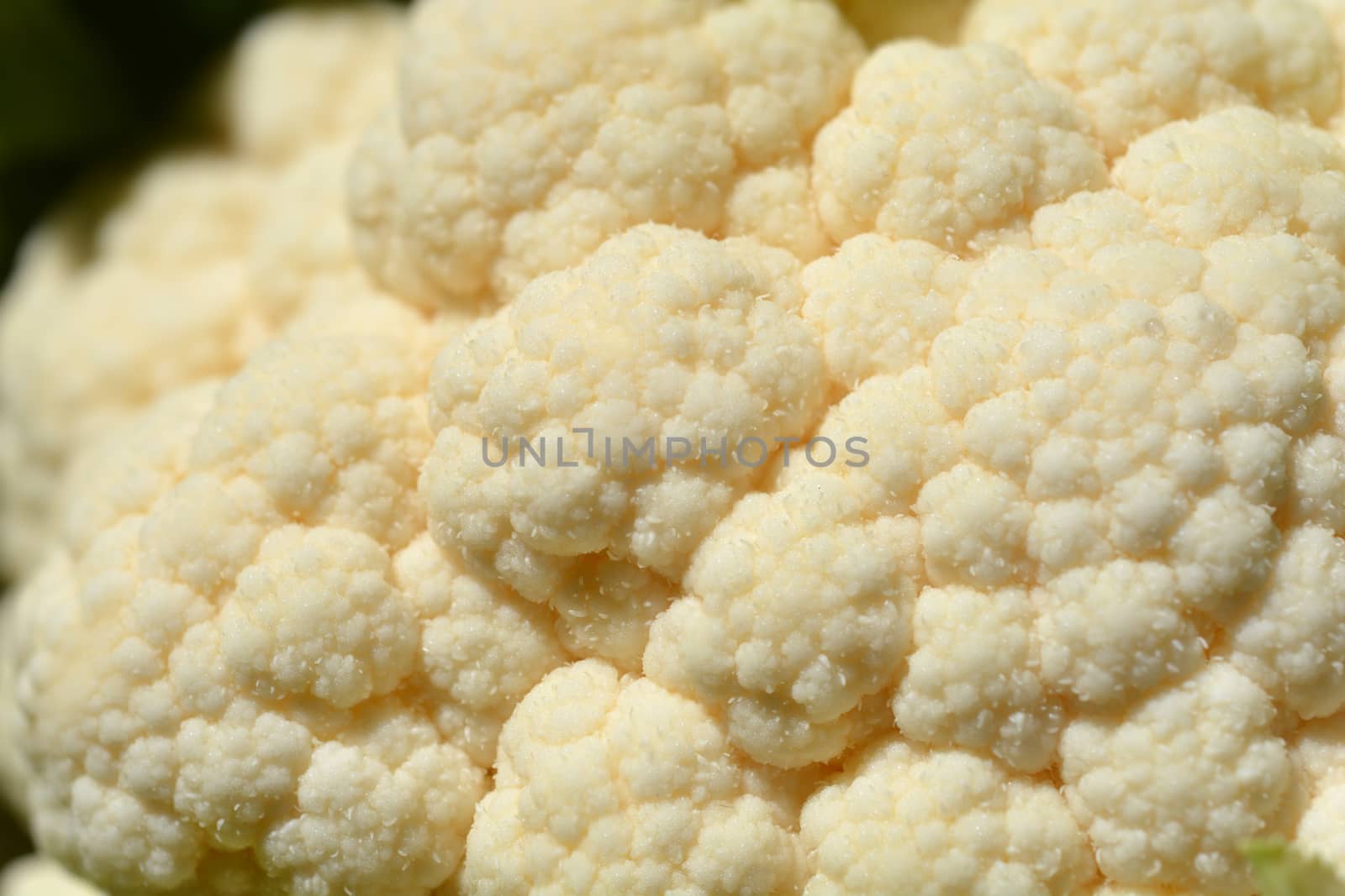 Cauliflower by nahhan