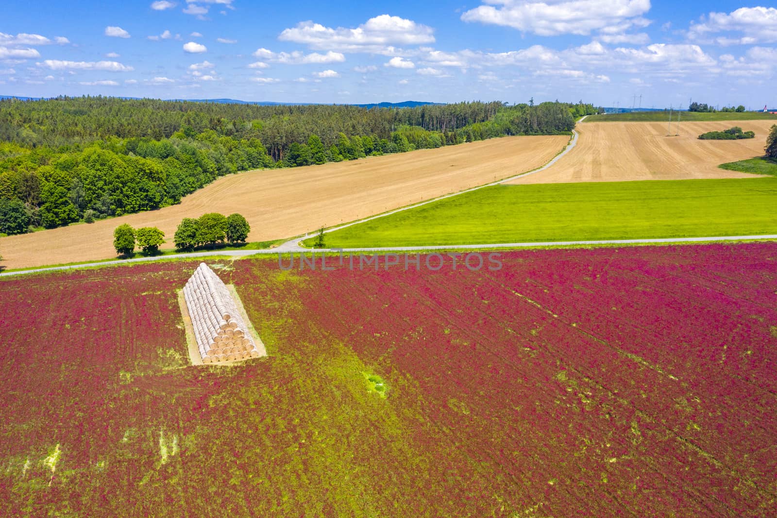 Crimson clover field and heap of bales from above by fyletto