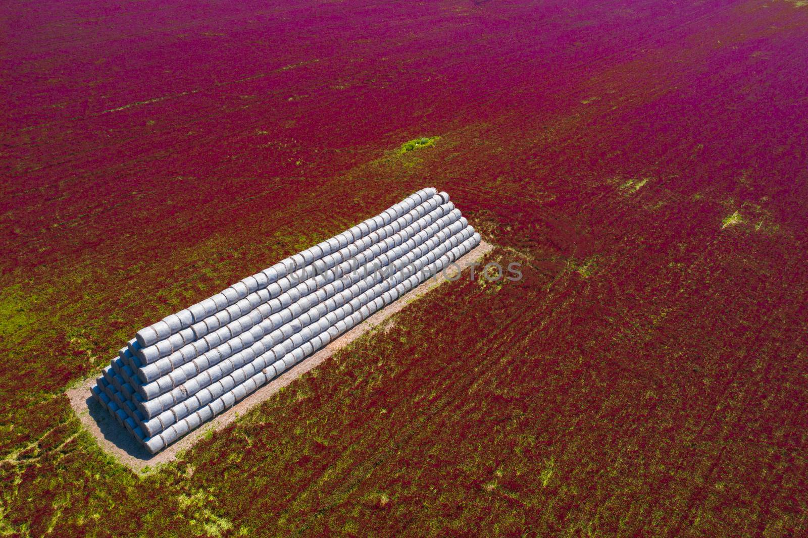 Red blooming crimson clover field (Trifolium incarnatum) surrounding pyramid of hay bales from above