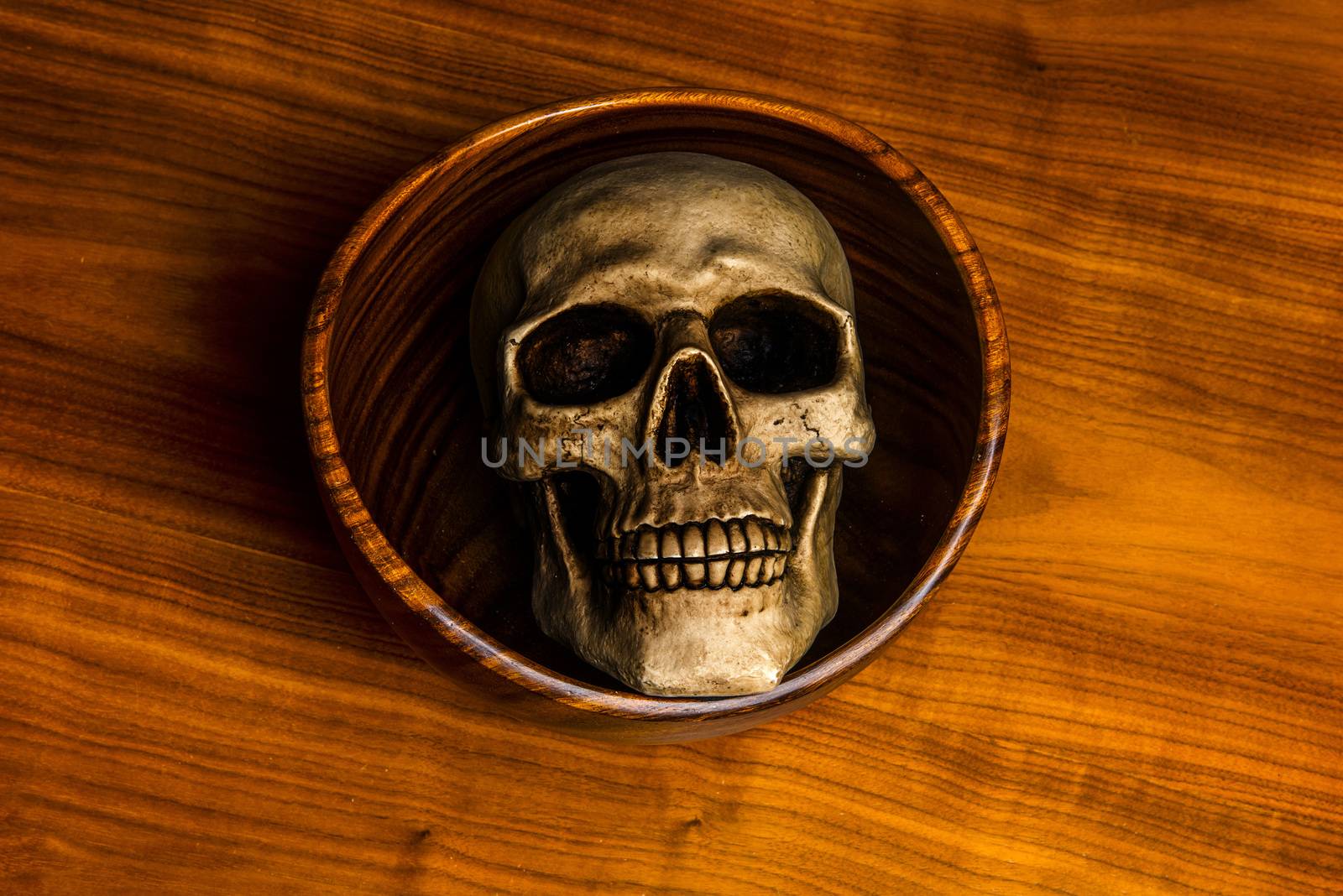 Human skull in a wooden bowl on a table by fyletto