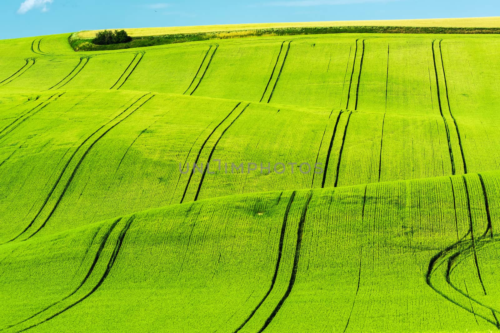 Beautiful rolling hills in Southern Moravia in the Czech Republic. Fields are beautifully wavy which is especially beautiful in the spring.