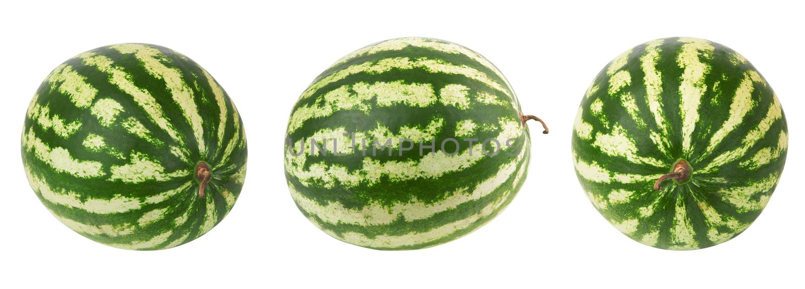 Watermelon on white  by pioneer111