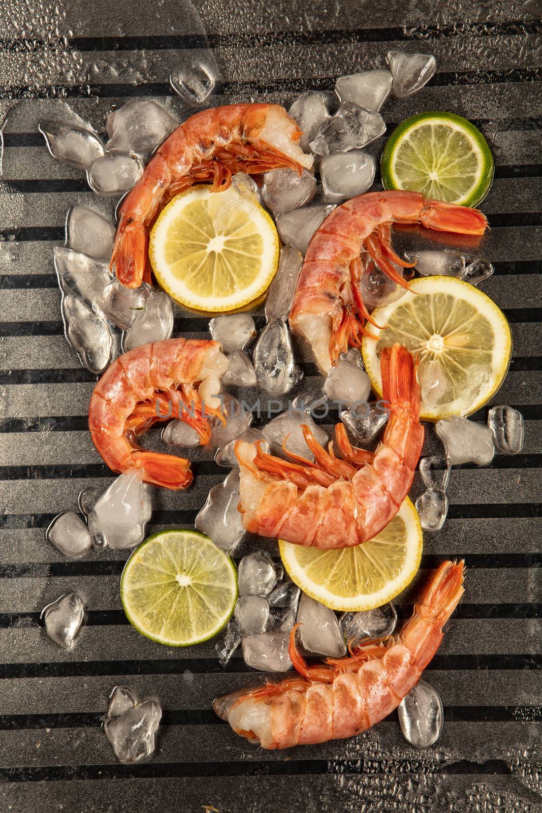 Shrimps, lemon and ice on a metal background