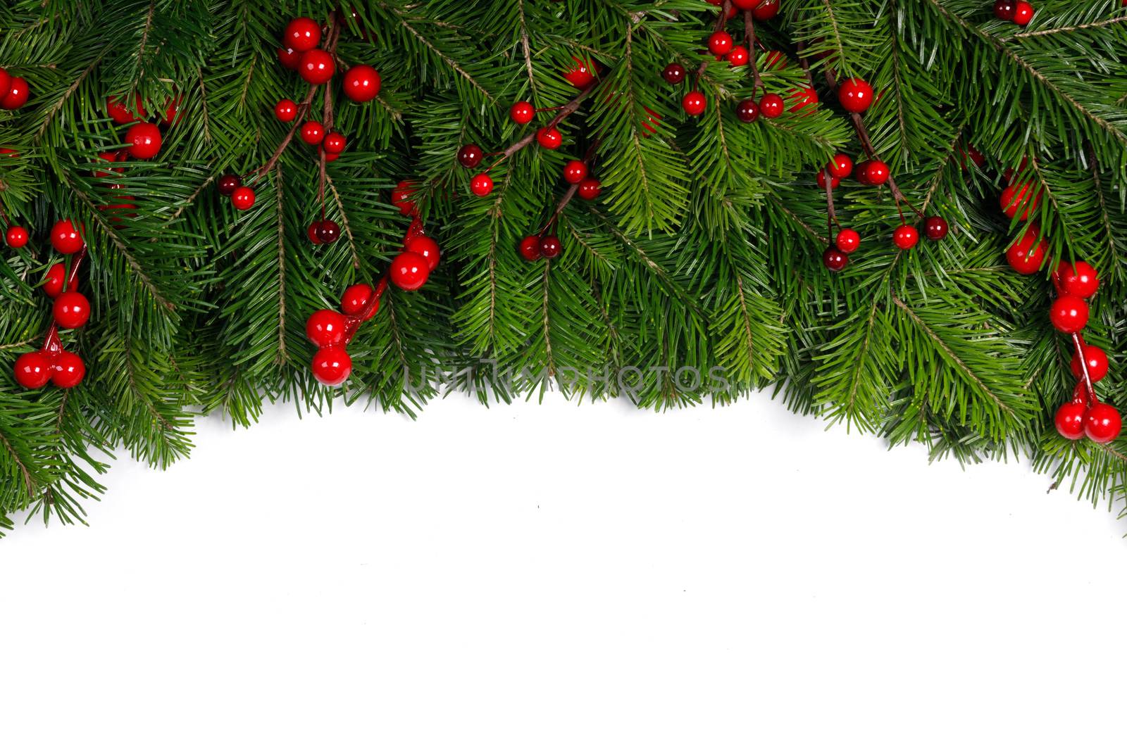 Christmas tree branches and red berries frame isolated on white background