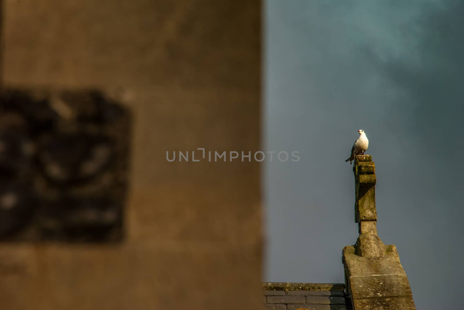 London, UK -  Feb 13, 2019 : White dove on the white cross of the Christian church at Turnham Green Chiswick High Road, West London.