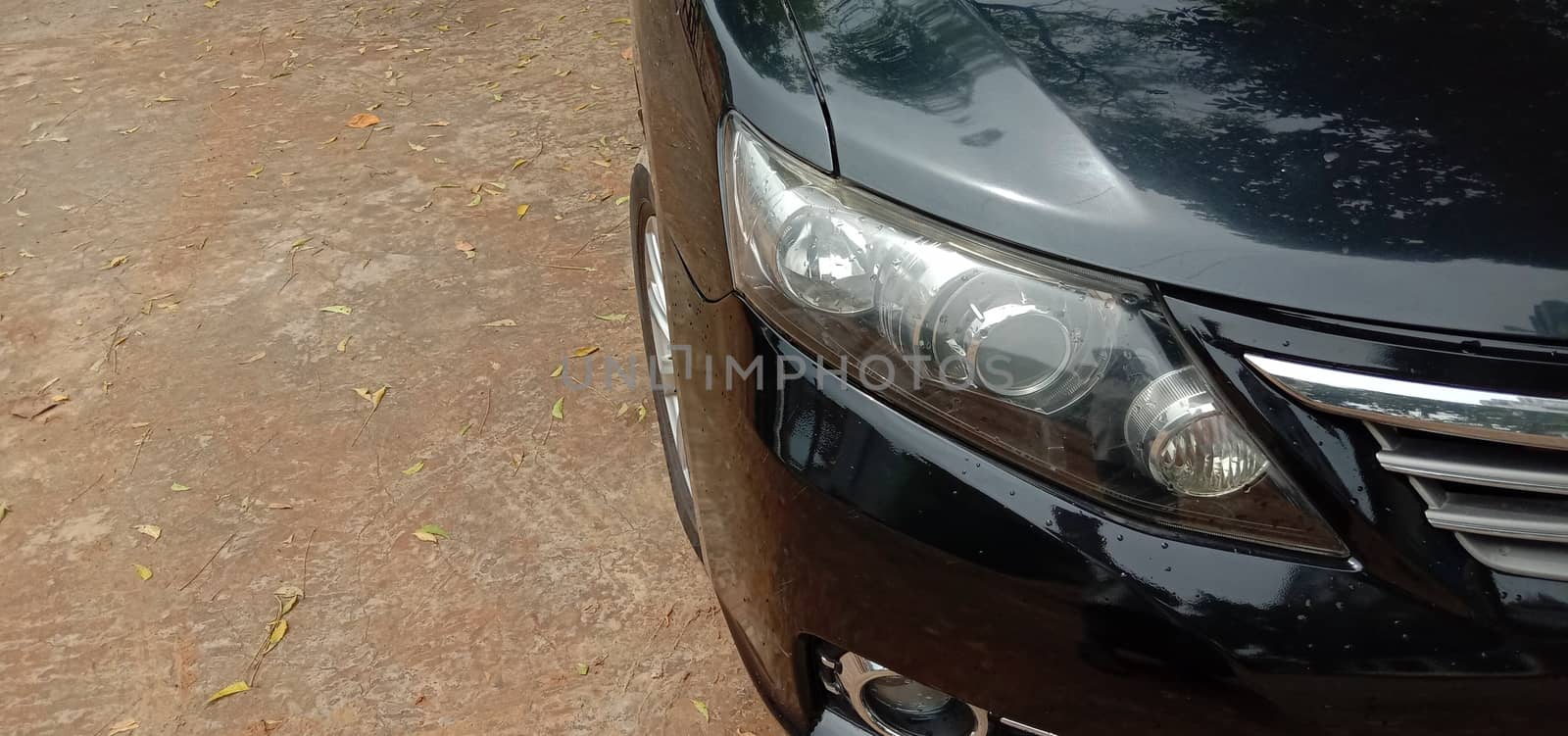 front side of black colored car on road