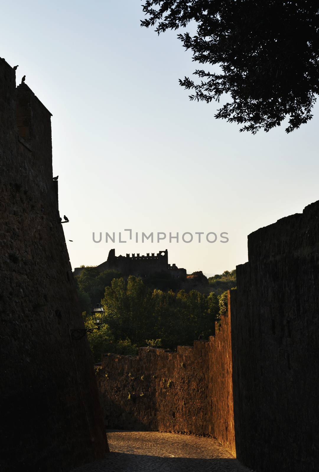 TUSCANIA-ITALY-August 2020 -view of narrow lane with thick medieval wall at dawn ,in the background ruins of the old town hall called palazzo del Rivellino