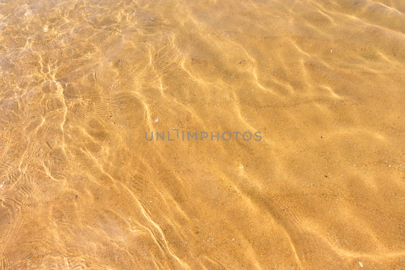 Ripples of water waves reflecting texture on a sandy beach bottom