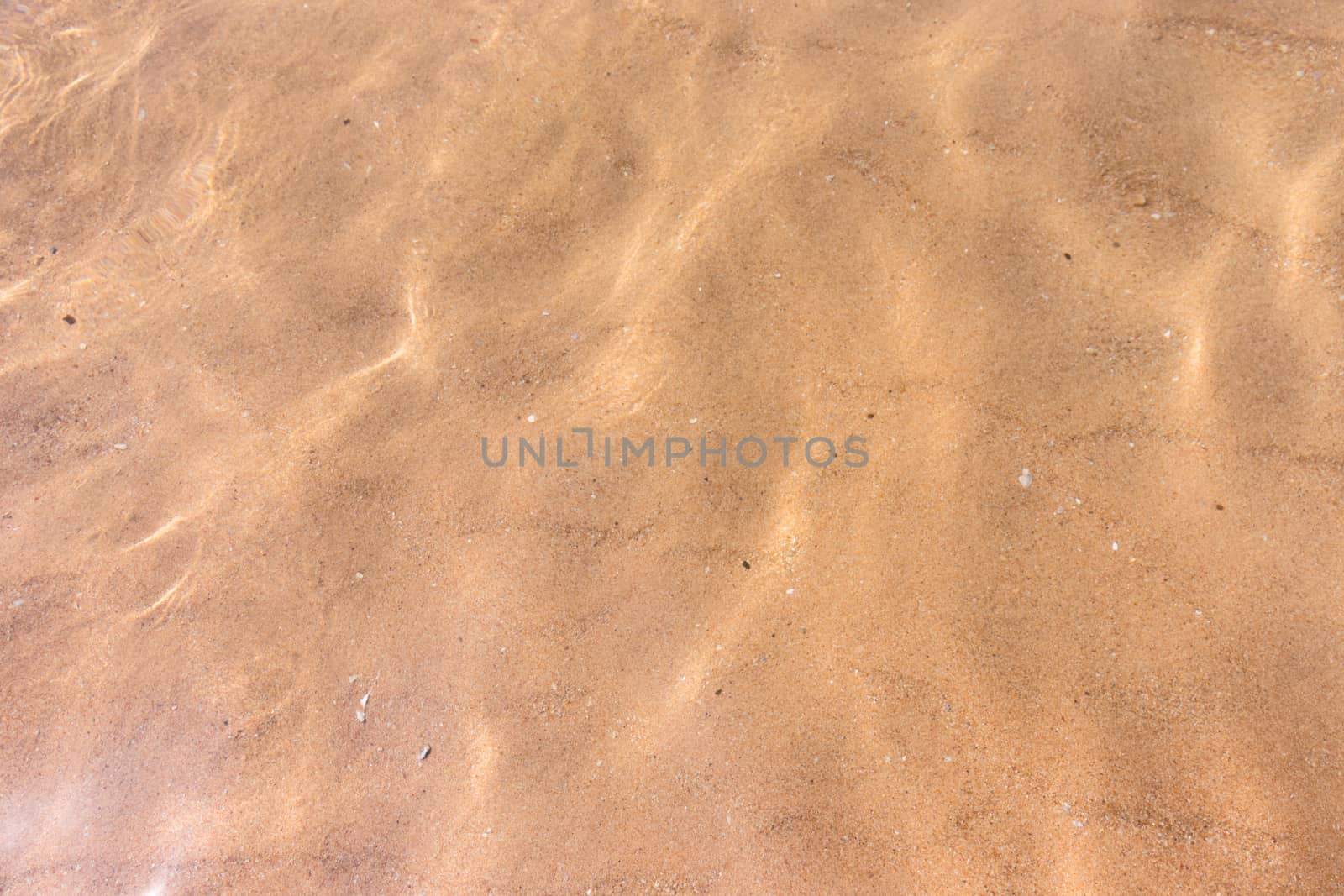 Ripples of water waves reflecting texture on a sandy beach bottom