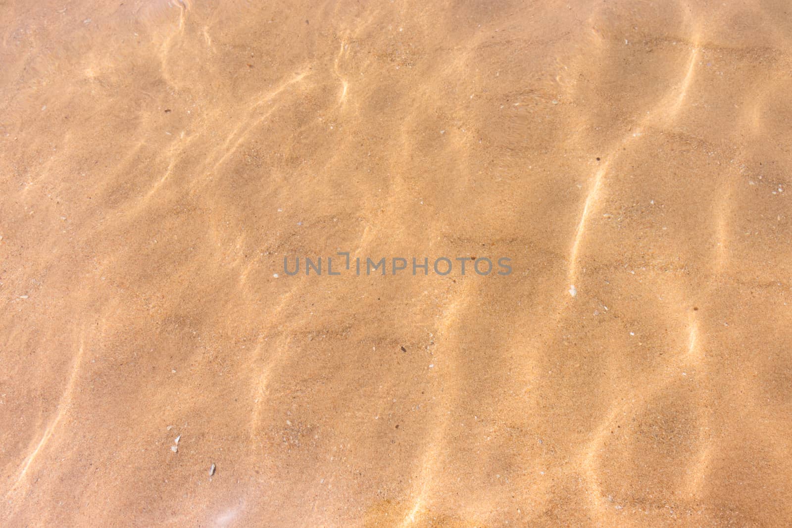 Ripples of water waves reflecting texture on a sandy beach bottom by nilanka