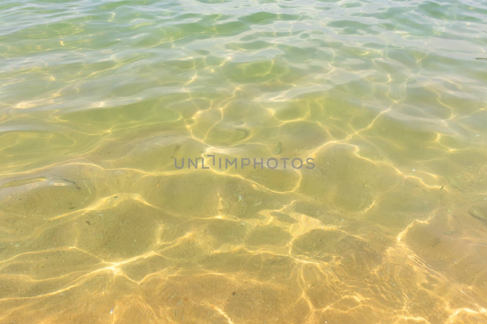 Ripples of water waves reflecting texture on a sandy beach bottom