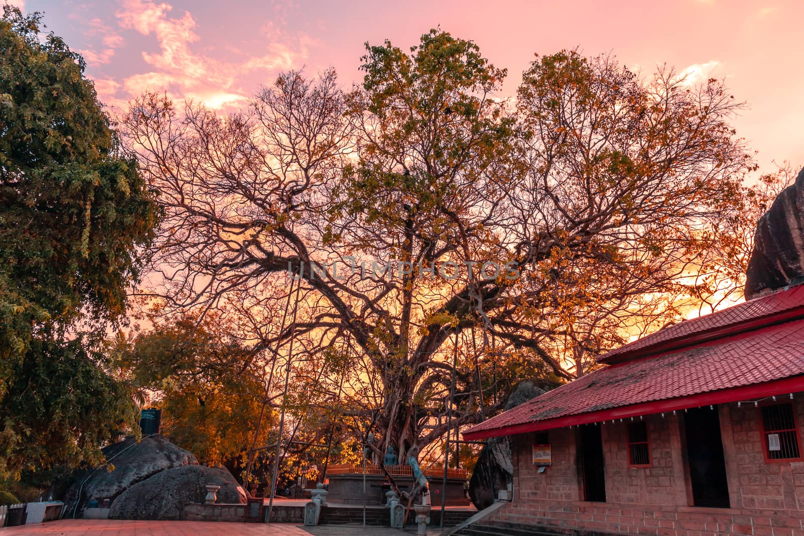 Yatagala Raja Maha Viharaya beautiful evening sunset photography by nilanka