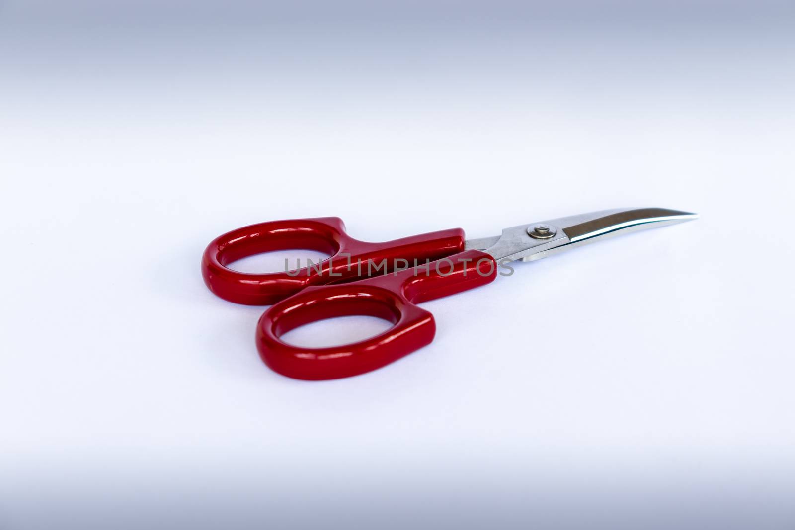 Red handle Silver curved Scissor on a white paper by nilanka