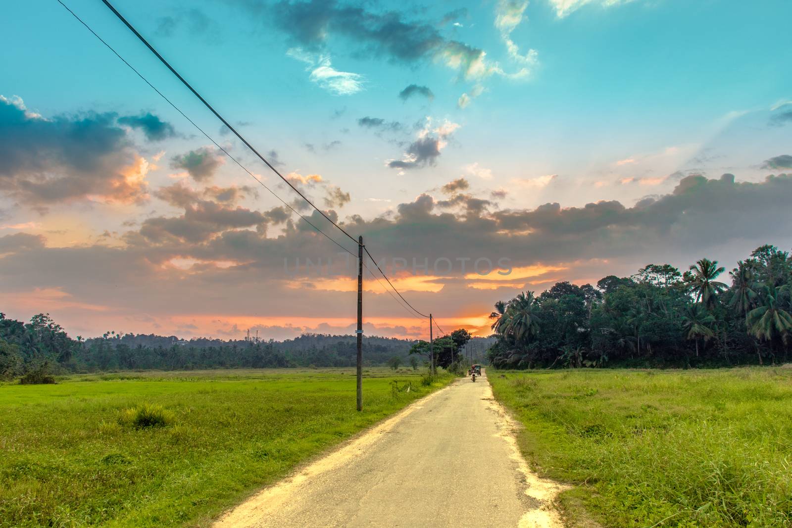 Rural Village in Sri lanka paddy fields evening Sunset by nilanka