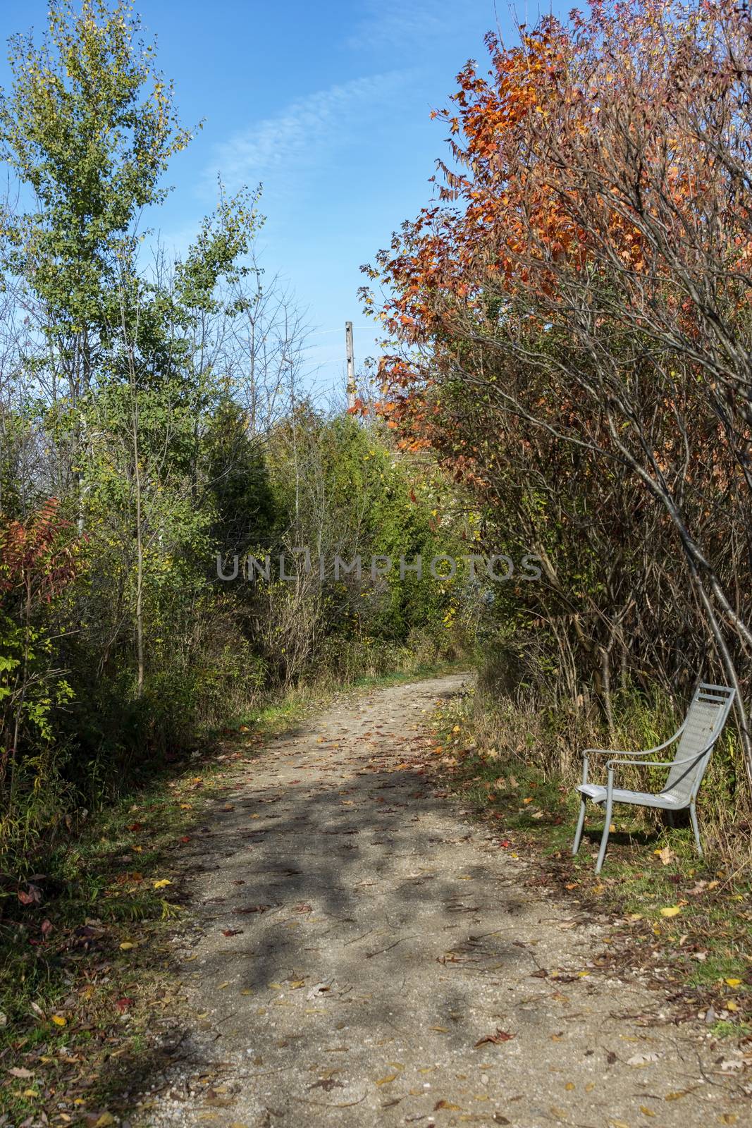  People left a chair at the side of the road in the park