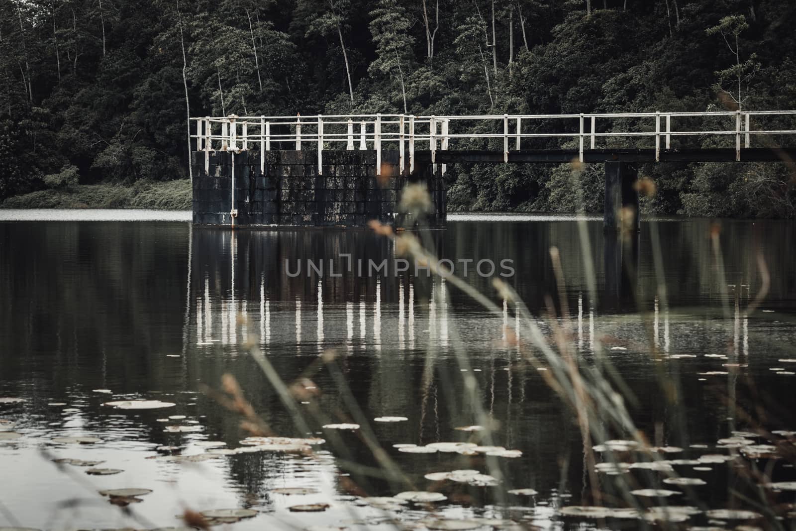 picturesque Landscape photograph of Hiyare Reservoir by nilanka