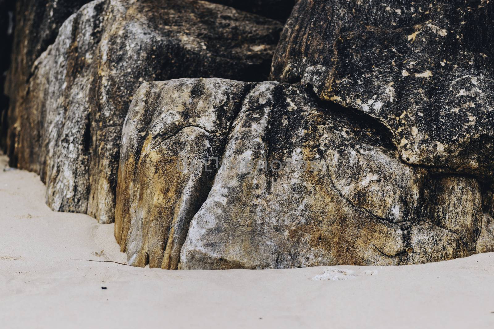 sand and rocks in jungle beach Sri Lanka