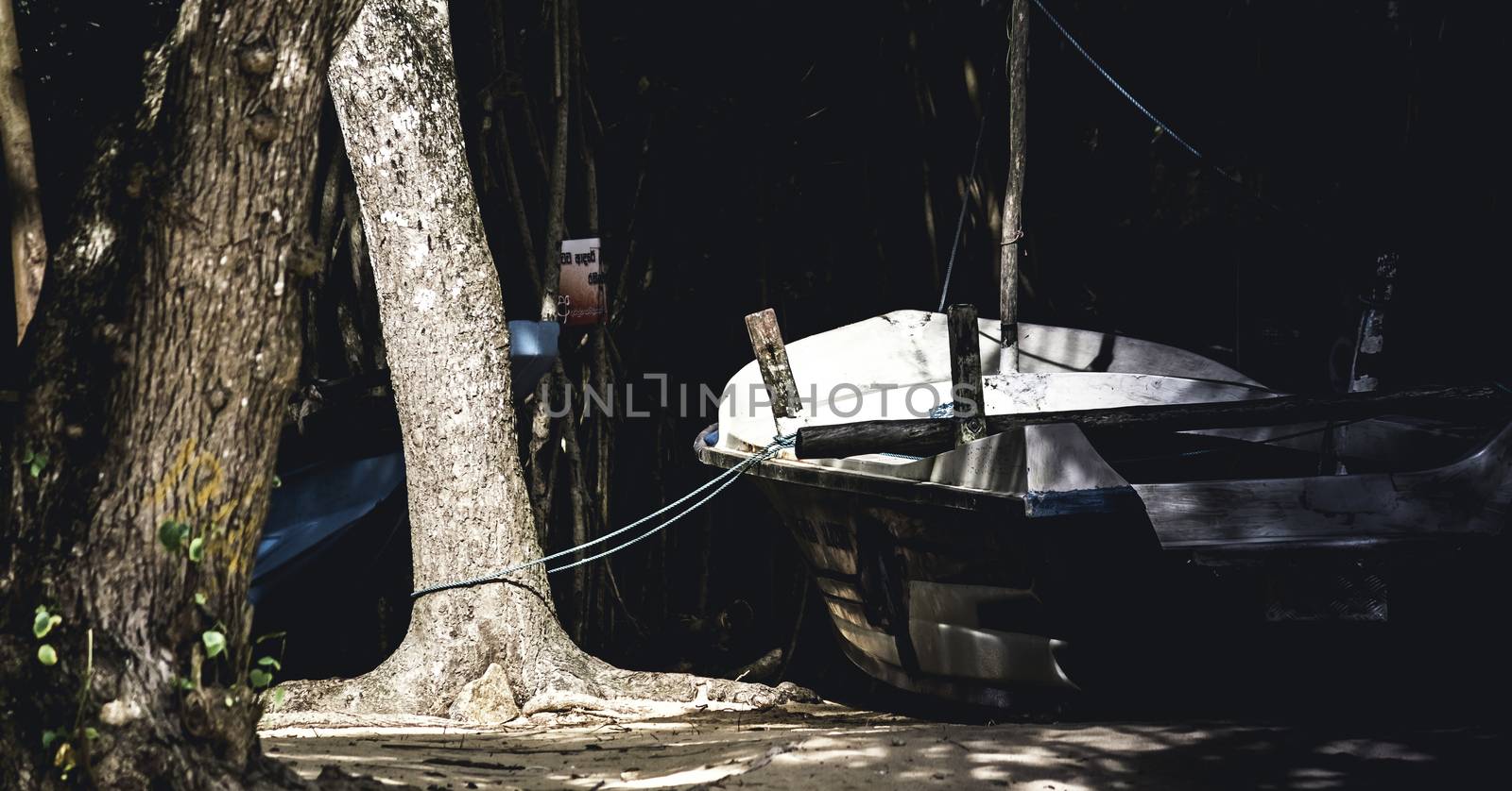 fishing boat roped in land tree dark creepy photograph