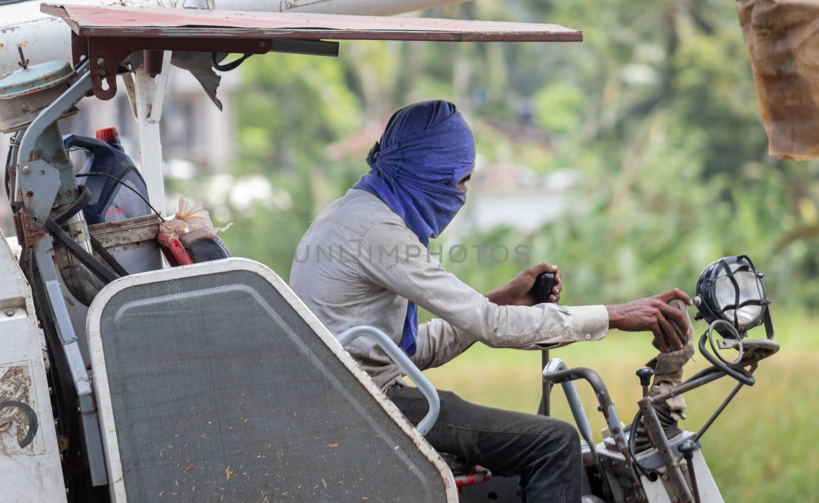 Face covered man in hot conditions as he operates combine harvester in the paddy field.