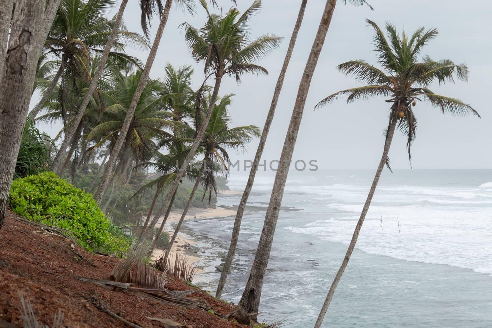 Mirissa Coconut tree hill is one of the best tourist destinations in the southern province, side ocean horizon view