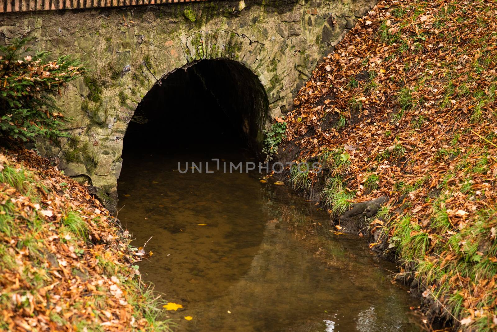 Tunnel in the park crossed by a stream in Park Letna, czech Republic by gonzalobell