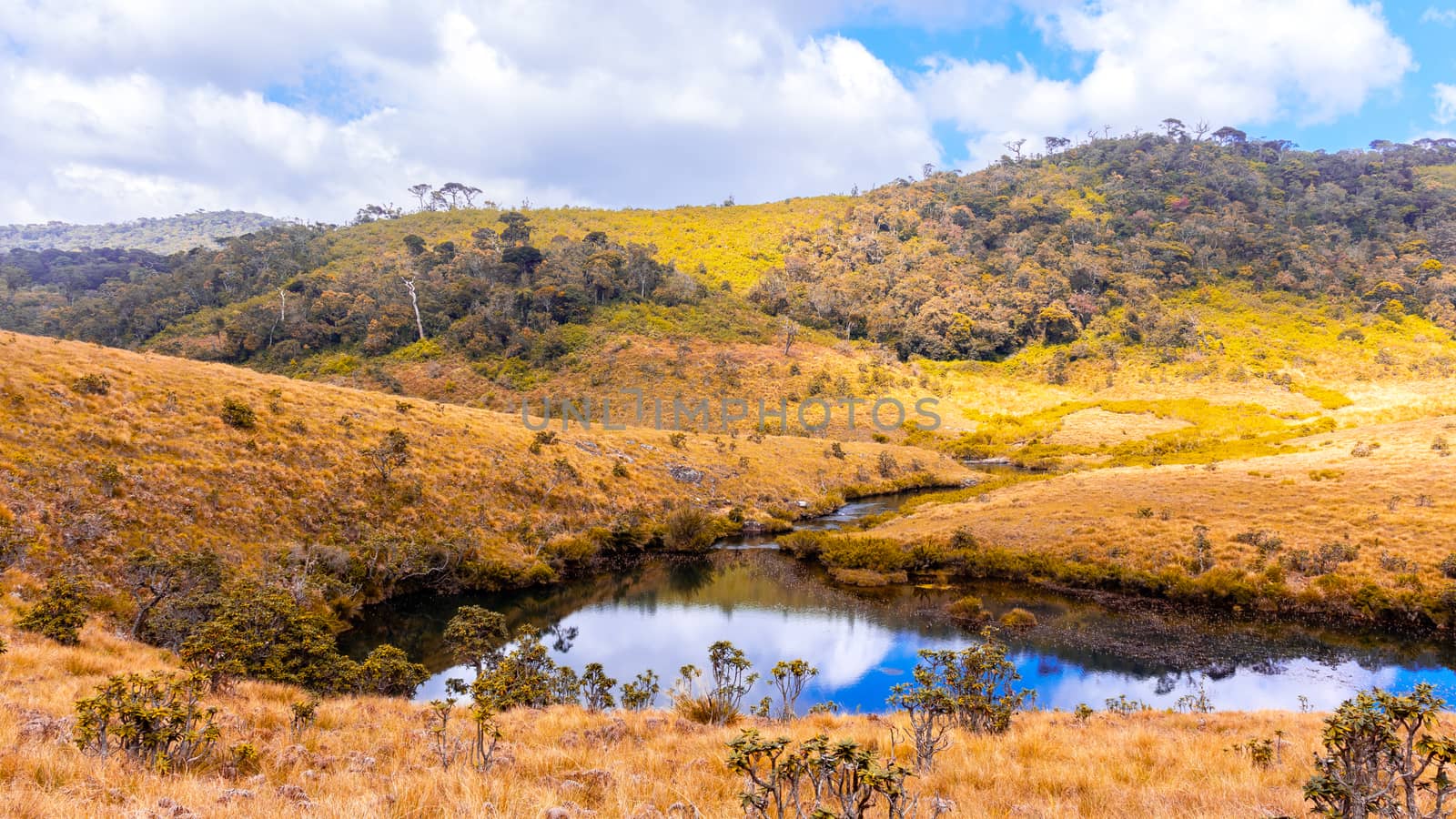 Horton plains lake reflection landscape by nilanka