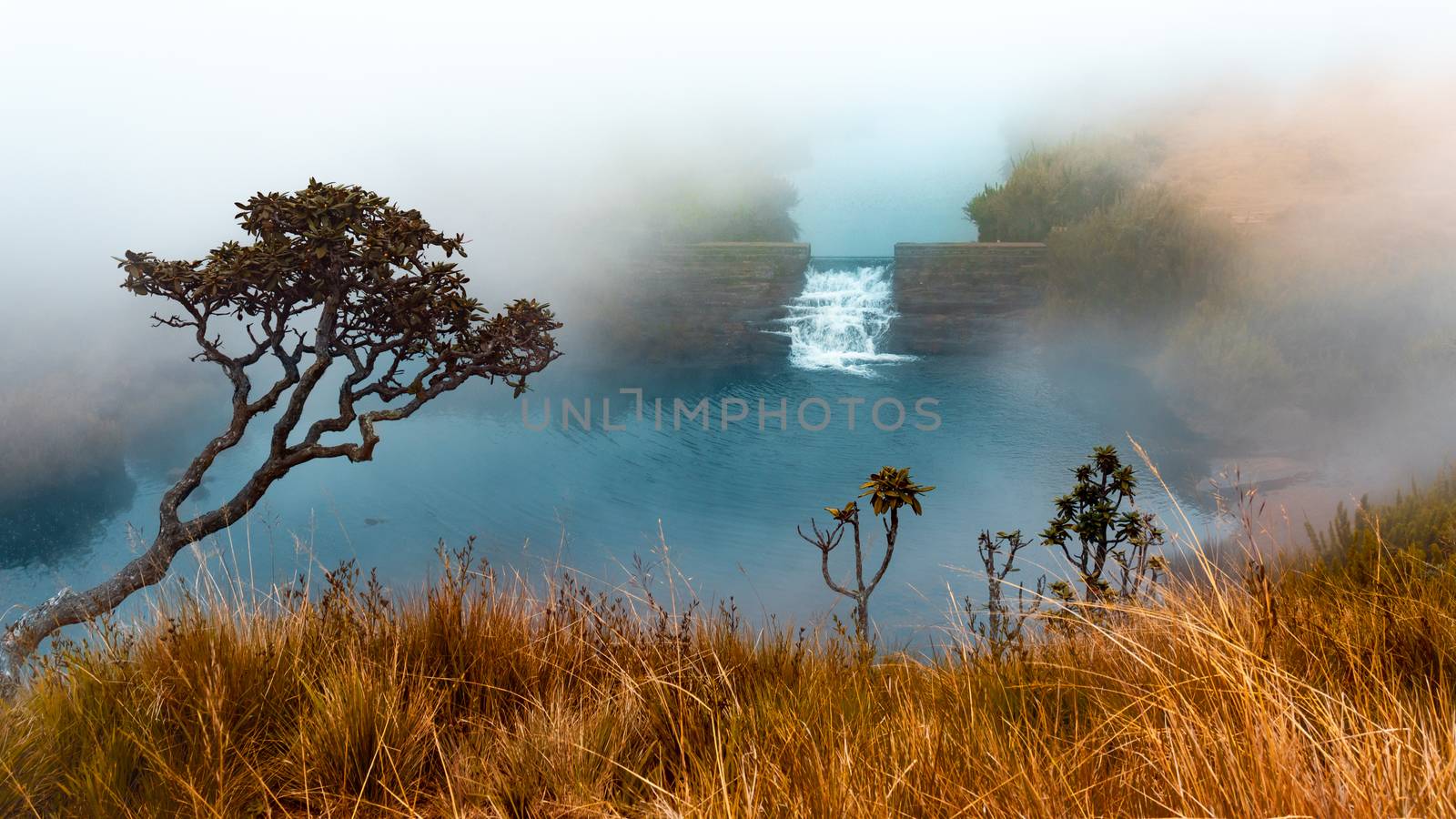 Cool foggy climate on horton plains water stream by nilanka