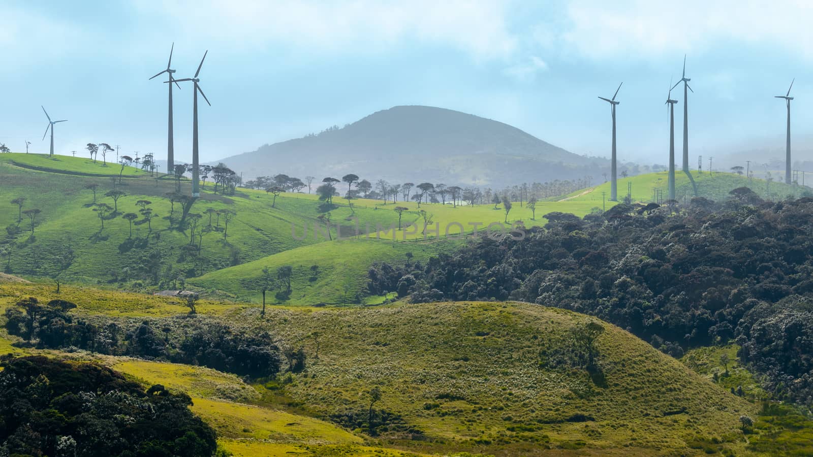 Landscape Photograph of beautiful nuwara eliya