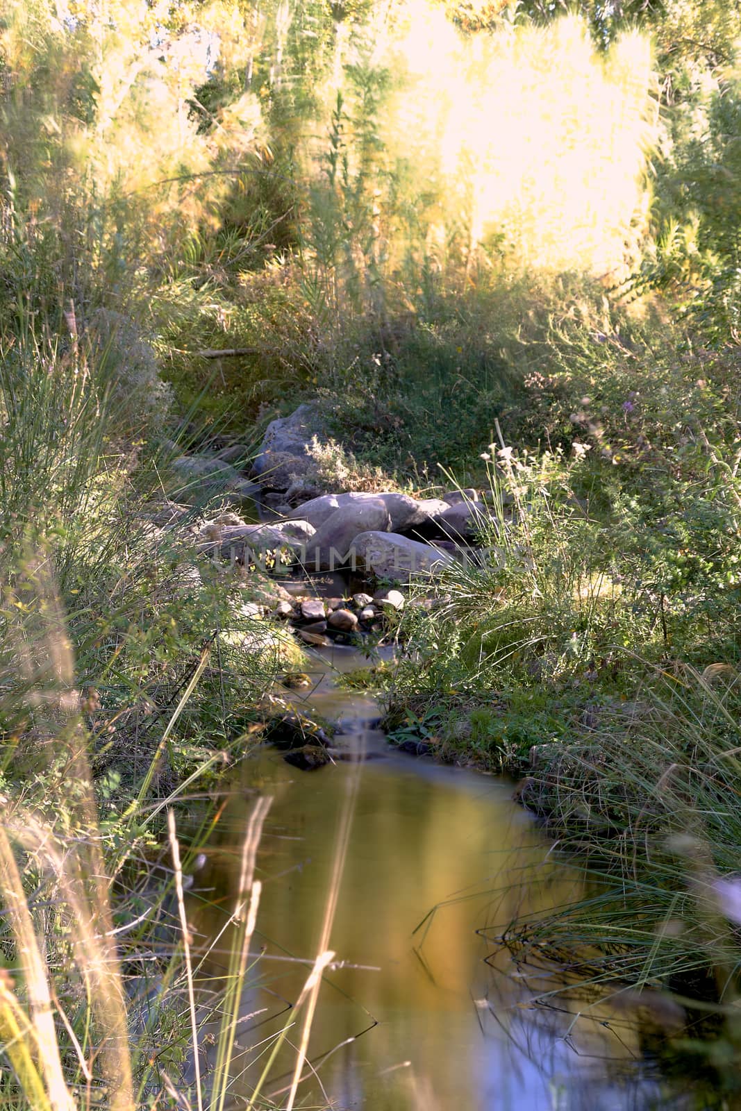 Small mountain river in sunny day, long exposure, silk effect