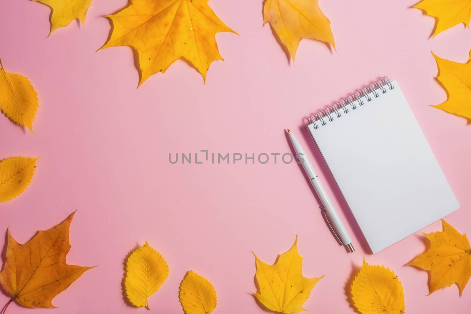 .Autumn fallen foliage and notebook on pink background