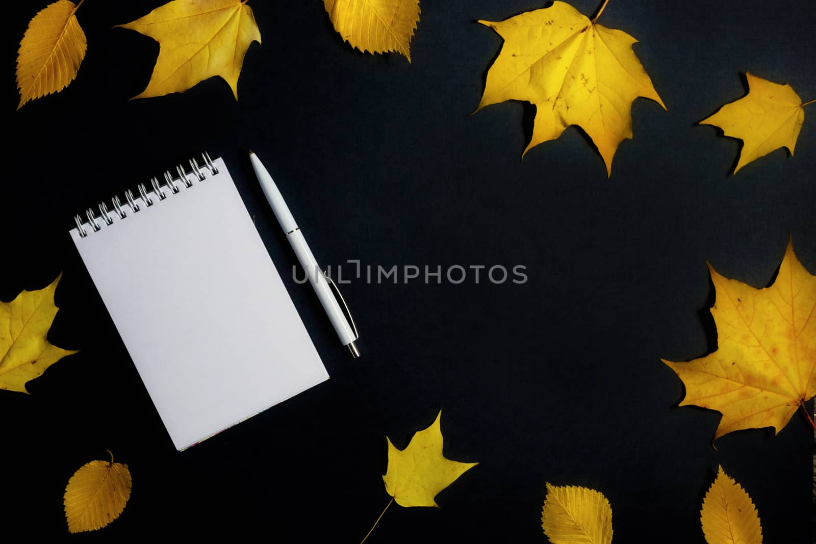 .Autumn fallen foliage and notebook on black background