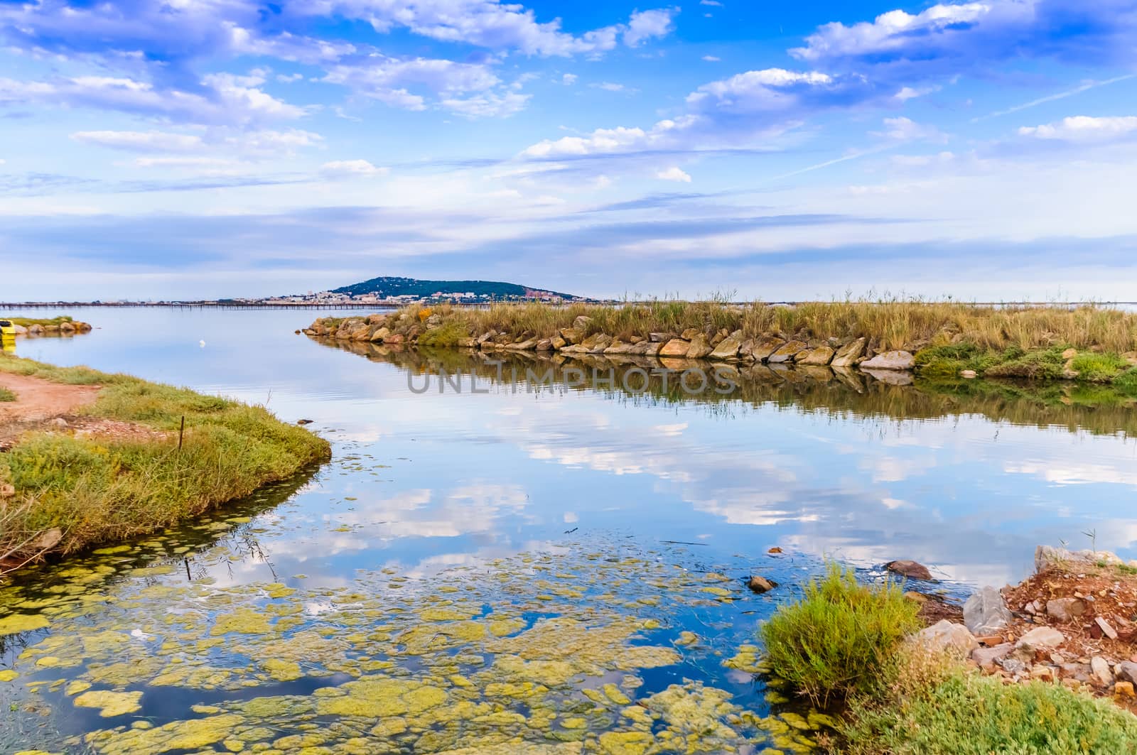 Landscape of the Thau lagoon at the mouth of the Pallas stream at Mèze, in Hérault, in Occitania, France. by Frederic