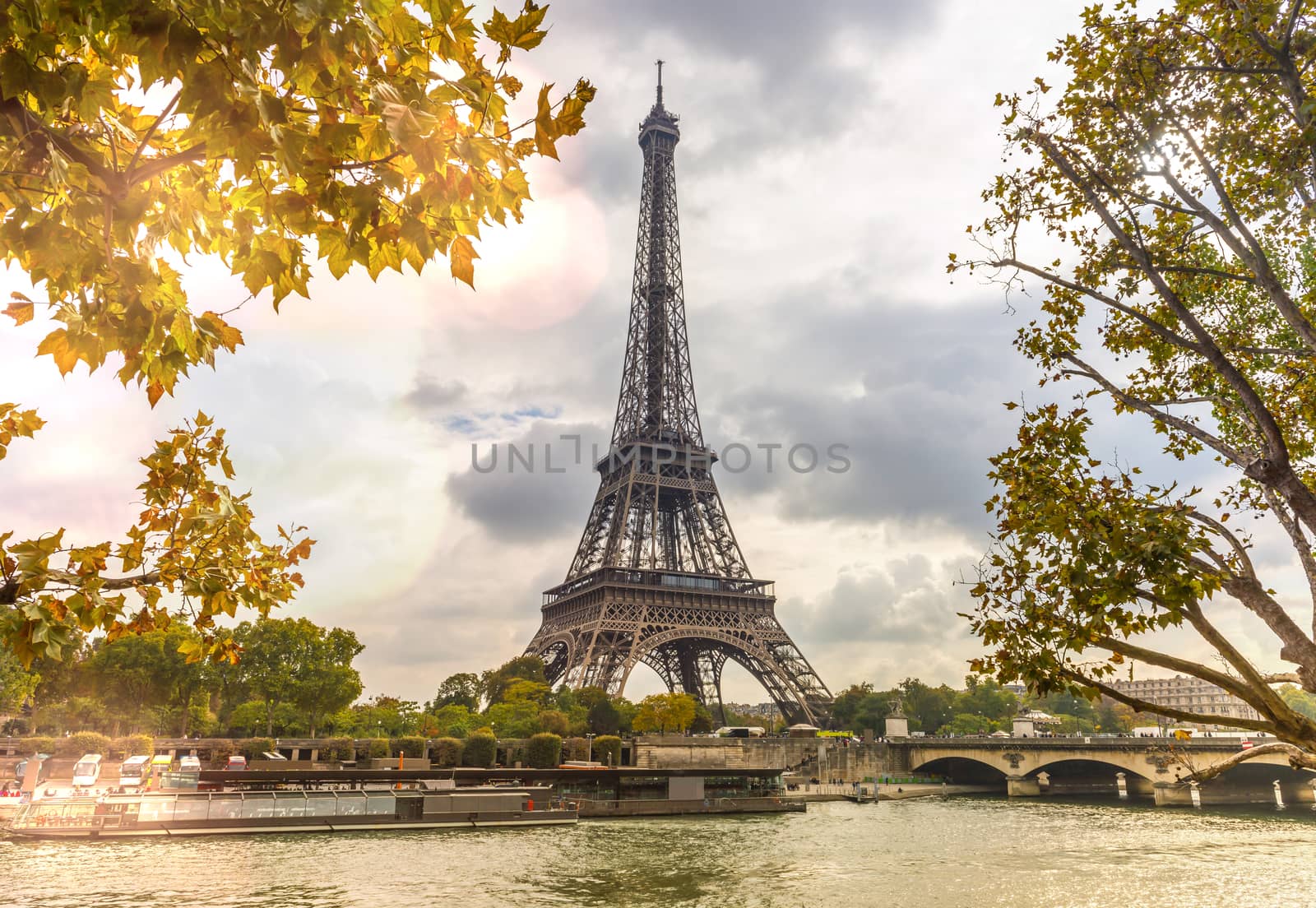 The Eiffel Tower on the banks of the Seine in autumn in Paris, France by Frederic