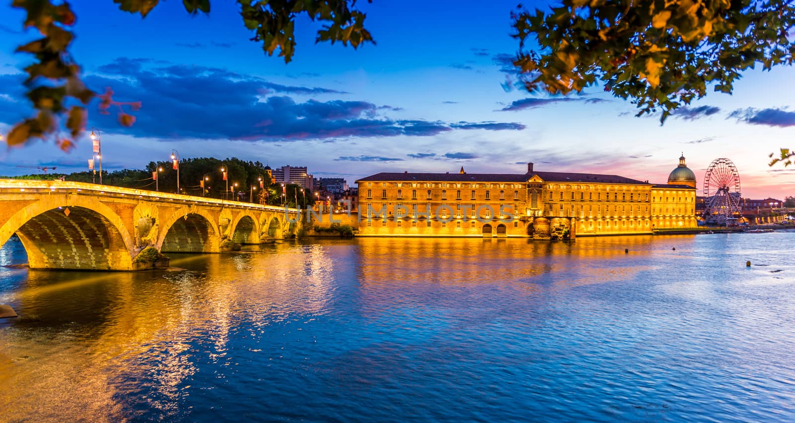 Superb, panorama of the banks of the Garonne, one summer evening, with the Pont Neuf and the Hotel Dieu illuminated, giving them a golden impression.