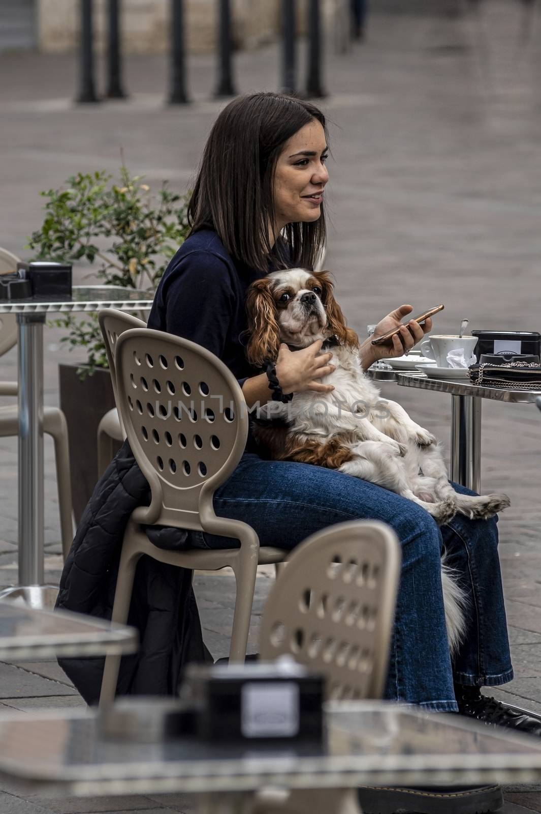 terni,italy september 02 2020:girl holding a little dog sitting at the bar