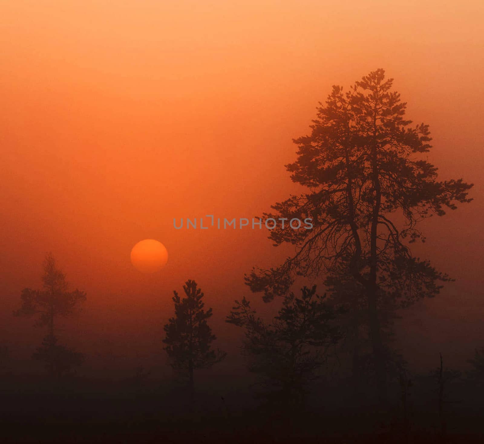 Beautiful pictures of Estonia
