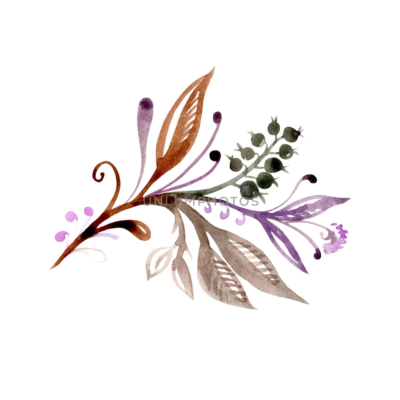 Watercolor abstract flower twig with leaves and berries in brown, green and purple colors, isolated on white background.
