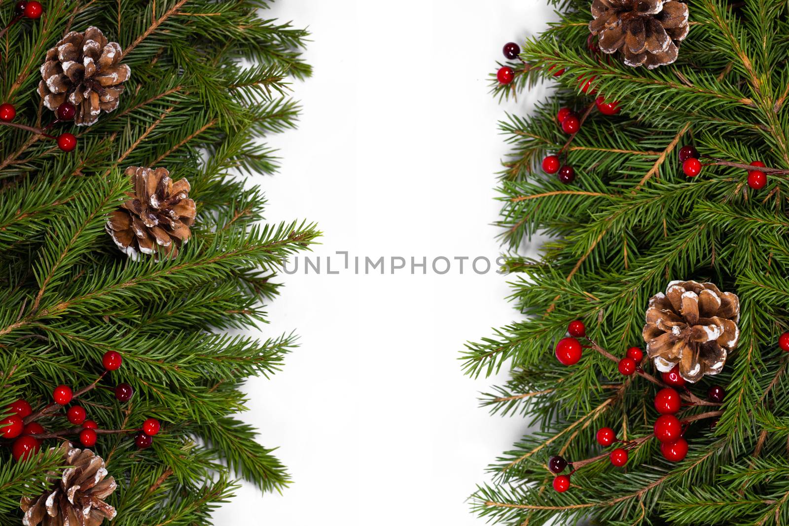 Christmas white blank card with copy space and frame decor of fir tree branch cones red holly berry isolated on white background