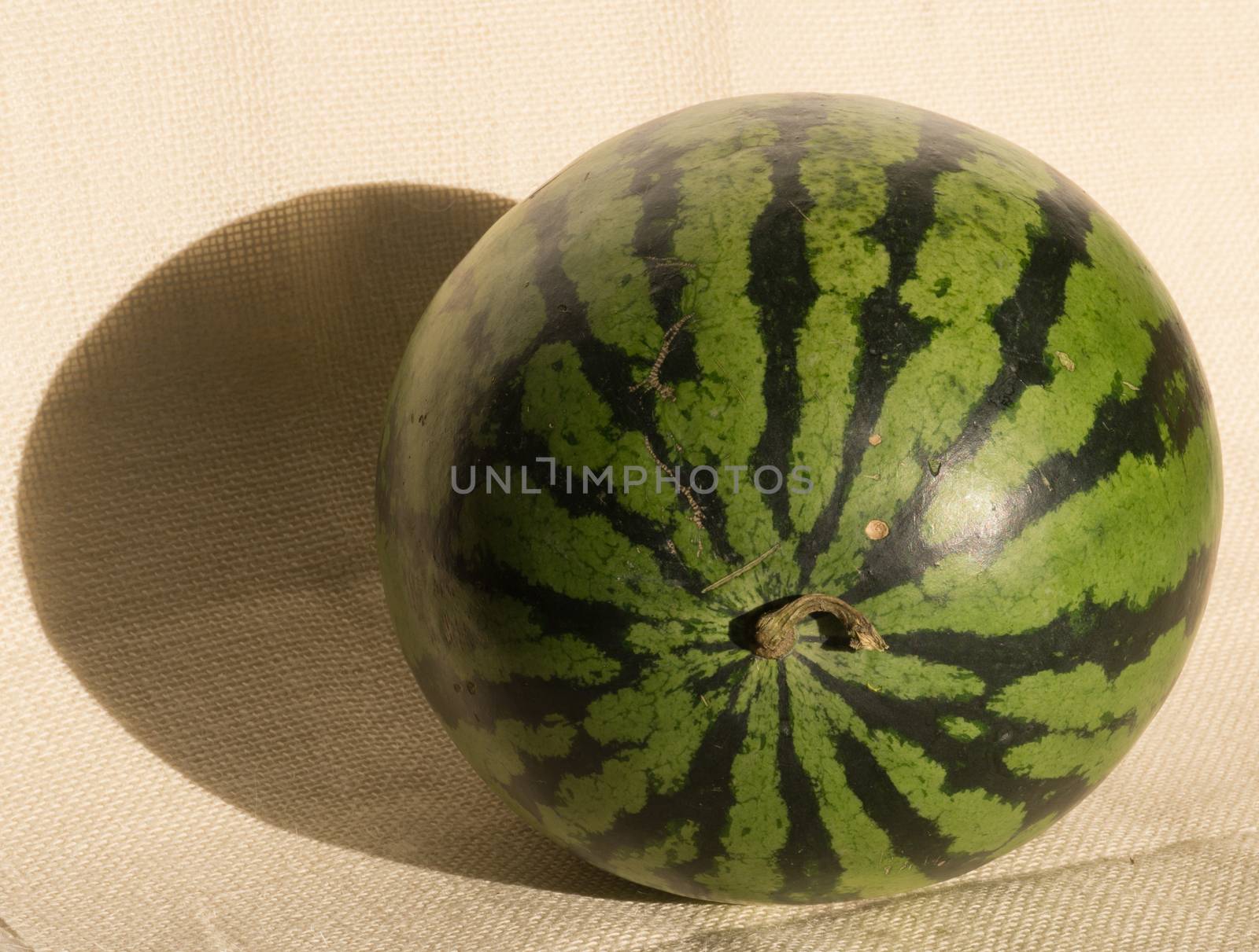 Yellow ripe whole watermelon for effective watermelon diet