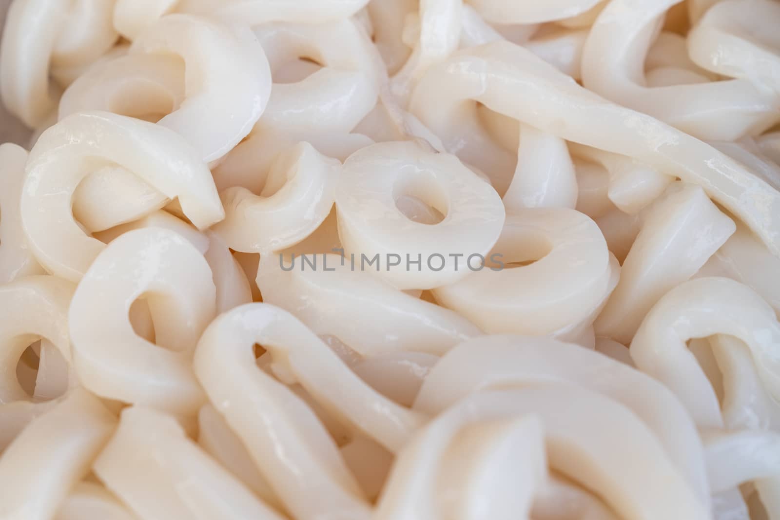 Raw Squid rings thawed close up by Robertobinetti70