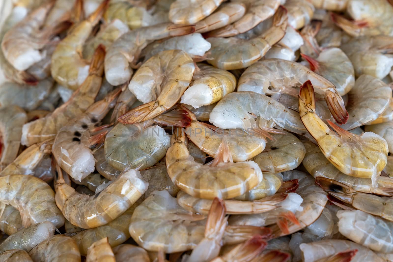 frozen tropical shrimp at the seafood market