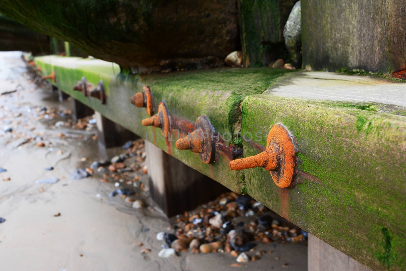 Detail of weathered, algae-covered groyne sea defence on Eastbourne beach in southeast England