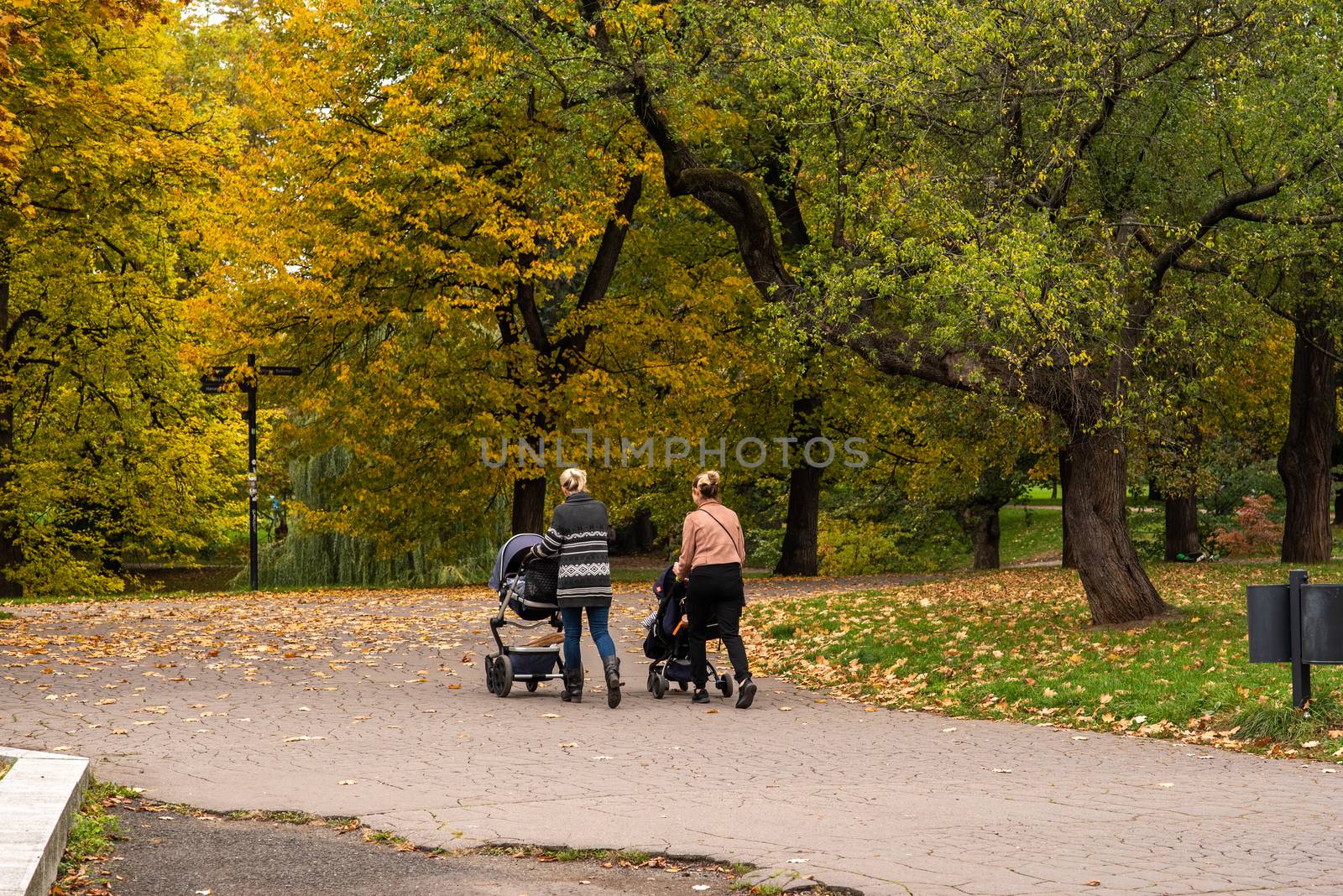 Two mother are walking and talking while taking their kids for a walk in the baby stroll on Letna Park in Autumn 2020 on Prague 6, during quarantine period due to outbreak of COVID-19 as winter is starting, Czech Republic by gonzalobell